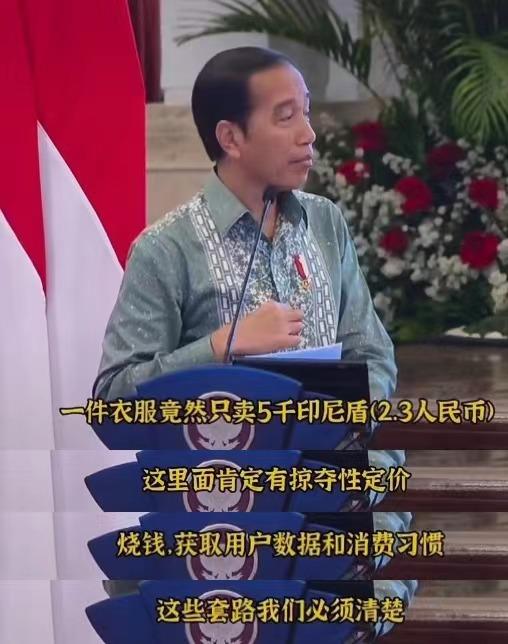 印尼禁止直播帶貨,，社交電商商家何去何從-豐年國際物流